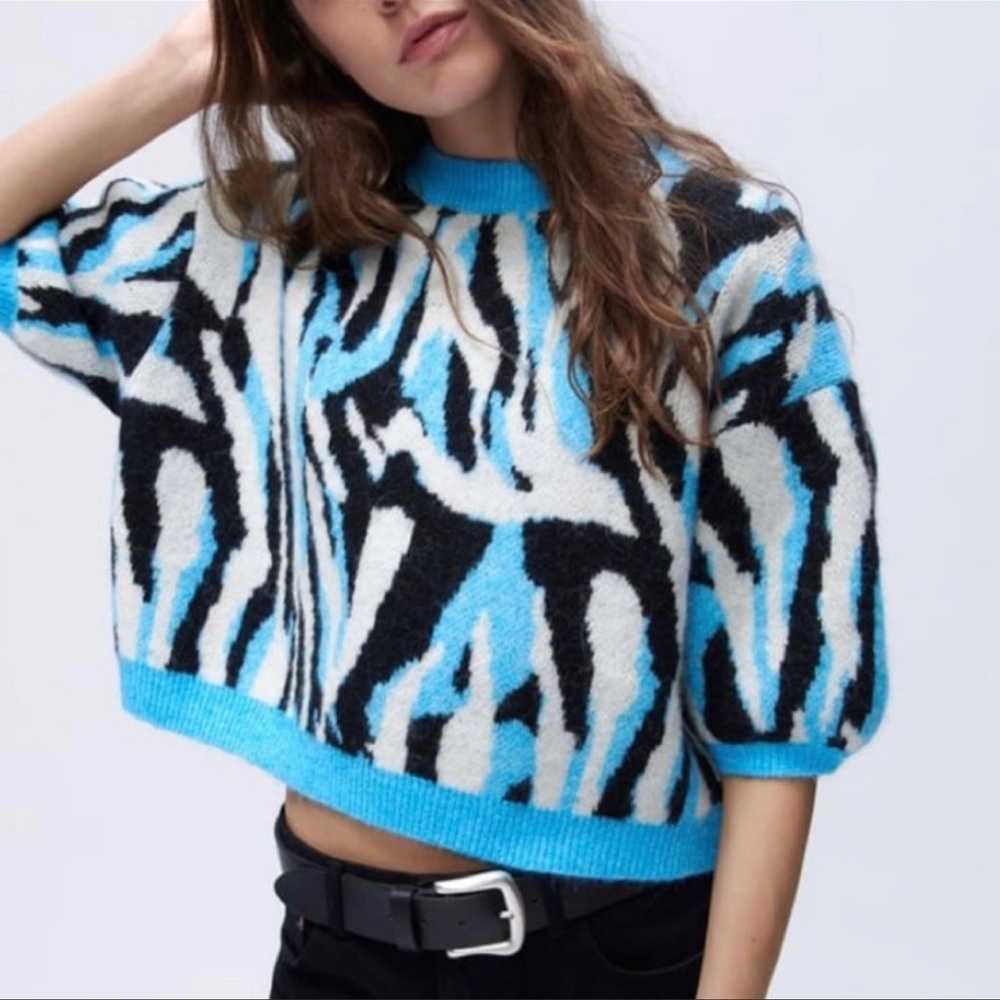 Zara Zebra Print Short Sleeves Sweater